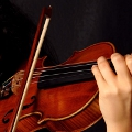 Playing The Violin 